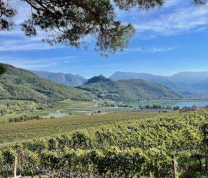 Wine tour in Tyrol