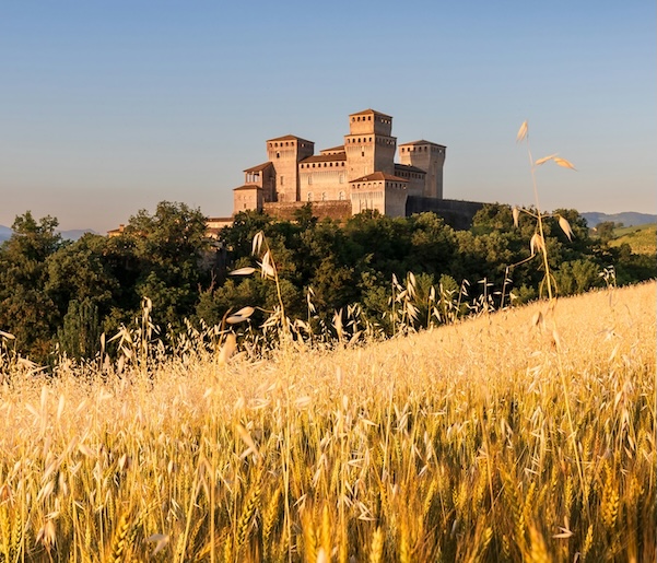 View of Torrechiara Castle rising above golden wheat fields near Parma, Italy, included on our 2026 Emilia-Romagna small group tour