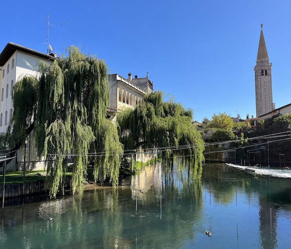 Willow trees along the Livenza River in Sacile with the town’s bell tower in the background.
